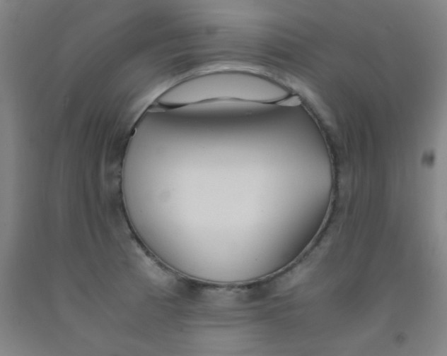 X0000092021185200709271543