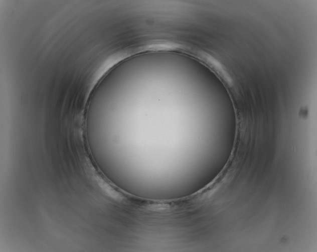 X0000092021186200709271543