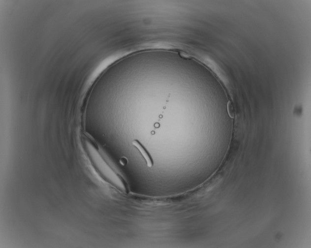 X0000092021187200709271543