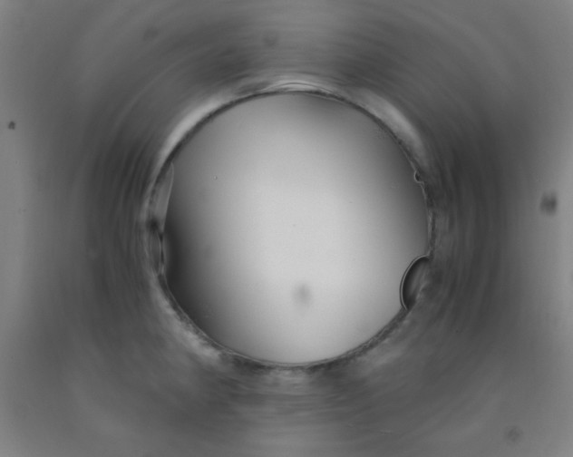 X0000092021190200709271543