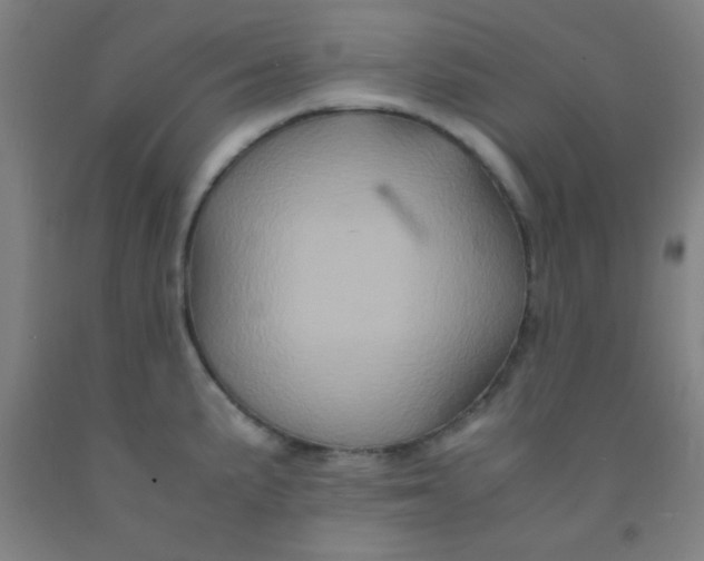 X0000092021191200709271543