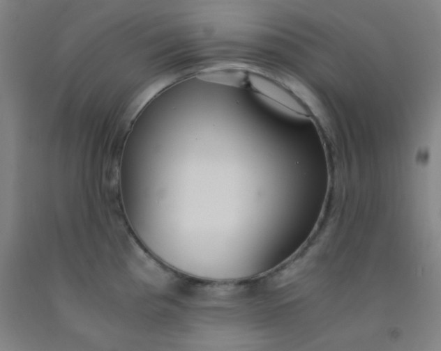 X0000092021193200709271543