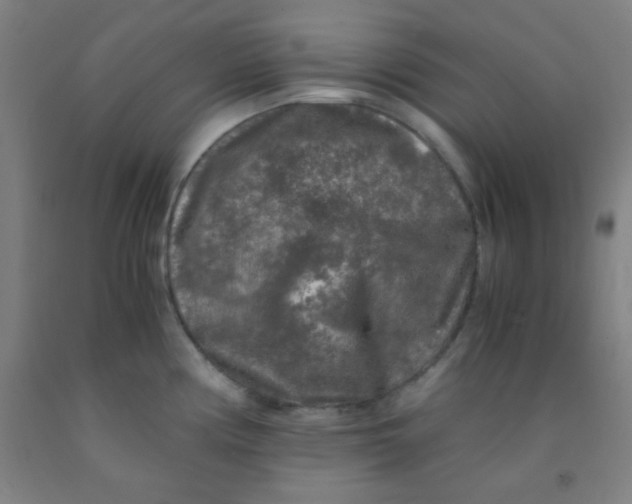 X0000092021194200709271543