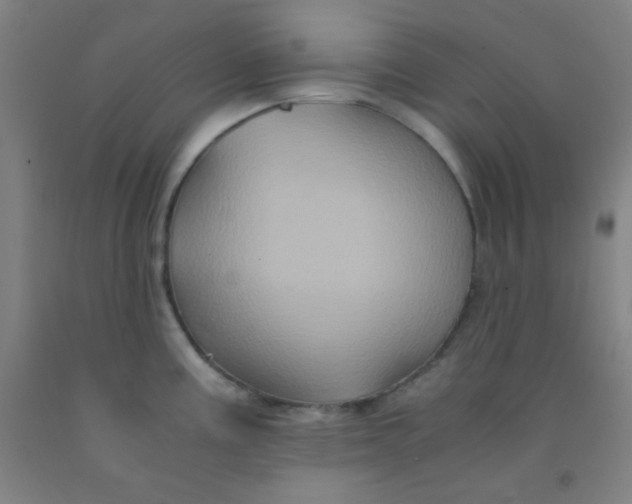 X0000092021195200709271543