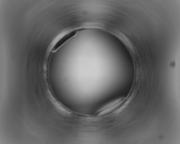 X0000092021196200709271543