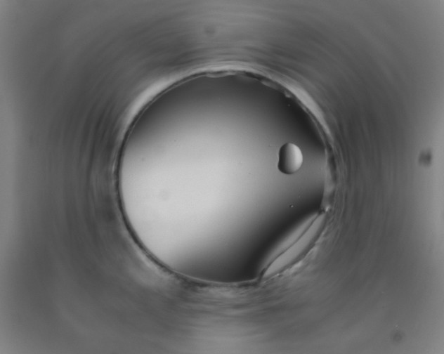 X0000092021197200709271543