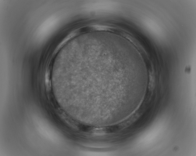 X0000092021198200709271543