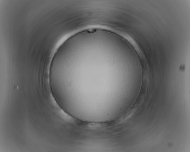 X0000092021199200709271543