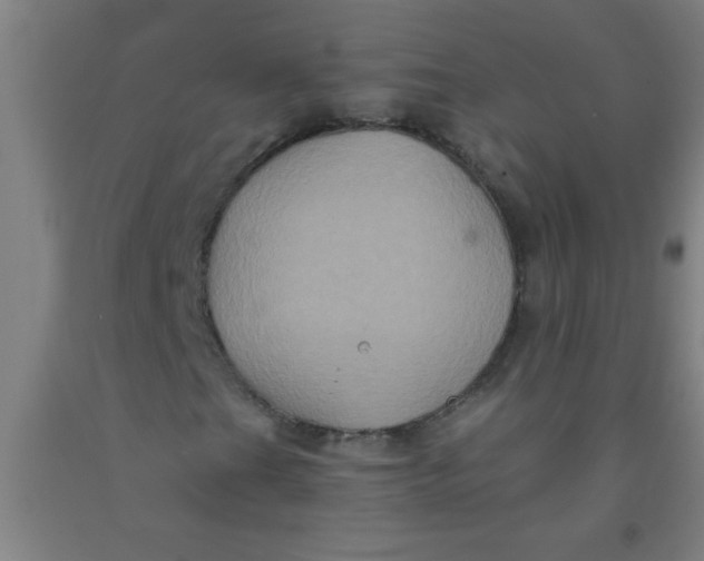 X0000092021201200709271542