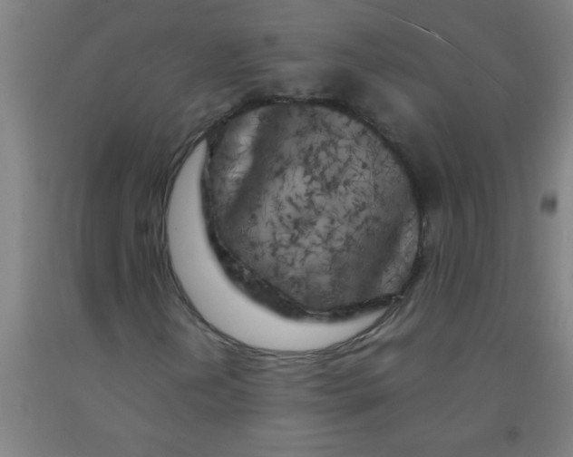 X0000092021202200709271542