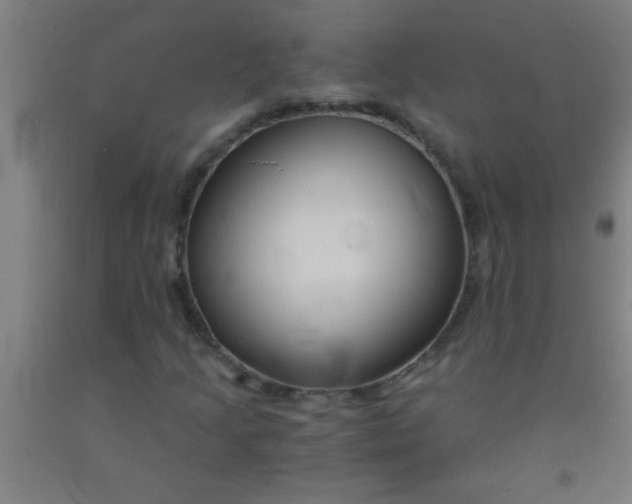 X0000092021205200709271542