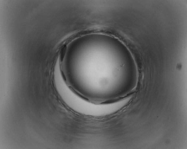 X0000092021206200709271542