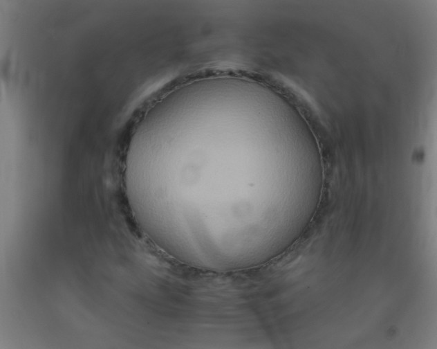 X0000092021207200709271542