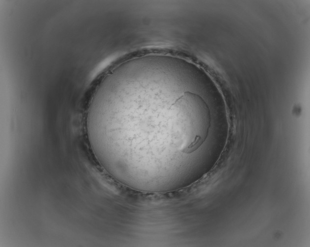 X0000092021208200709271542