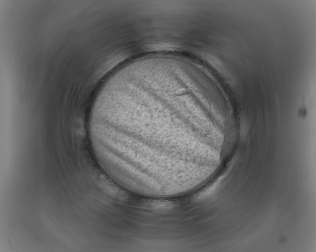 X0000092021209200709271542