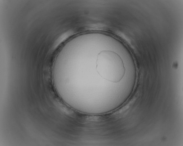 X0000092021211200709271542