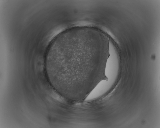 X0000092021213200709271542