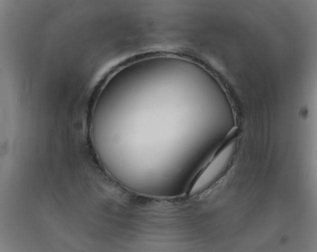 X0000092021214200709271542