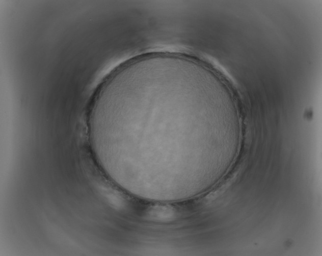 X0000092021215200709271542