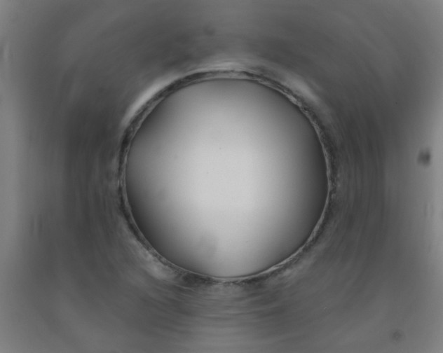 X0000092021216200709271542