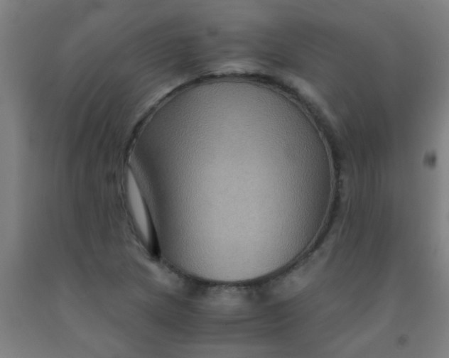 X0000092021217200709271542