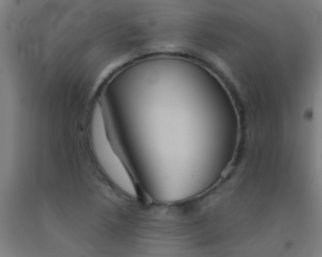 X0000092021218200709271542