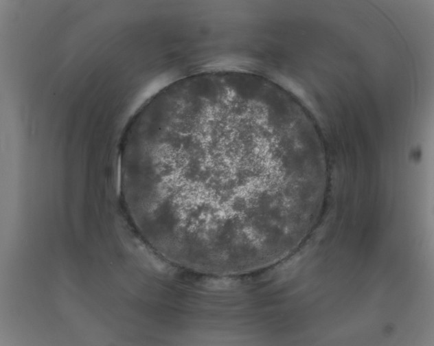 X0000092021219200709271542