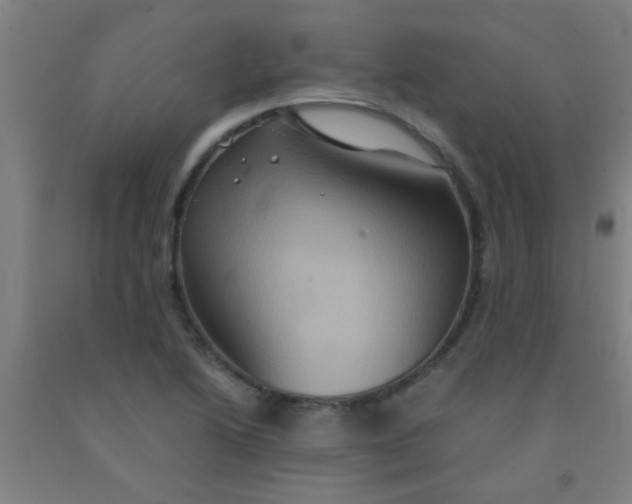 X0000092021222200709271542