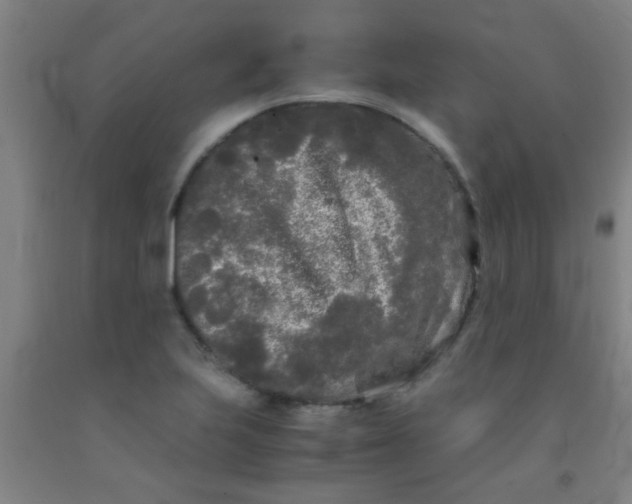 X0000092021223200709271542