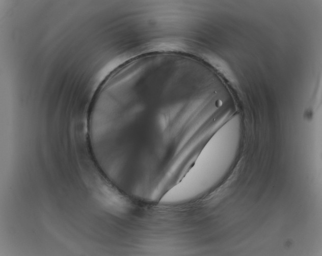 X0000092021226200709271542