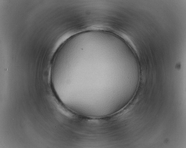 X0000092021227200709271542