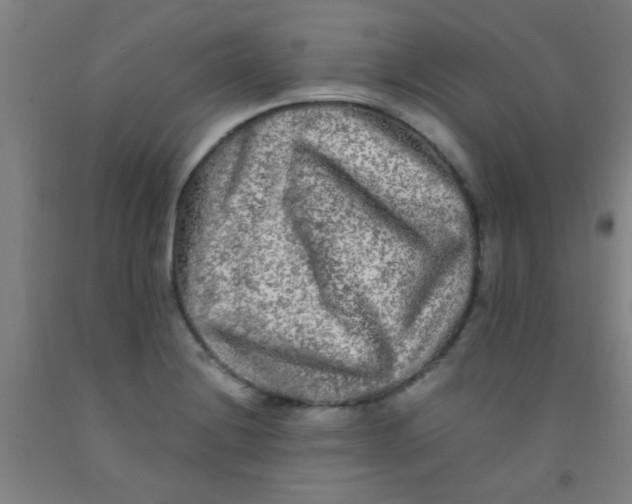 X0000092021228200709271542