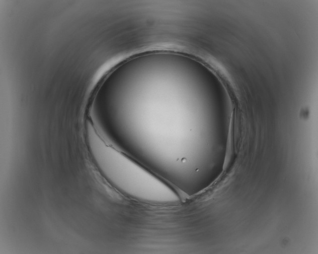 X0000092021230200709271542