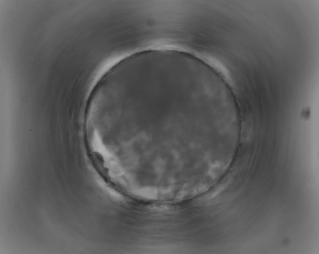 X0000092021231200709271542