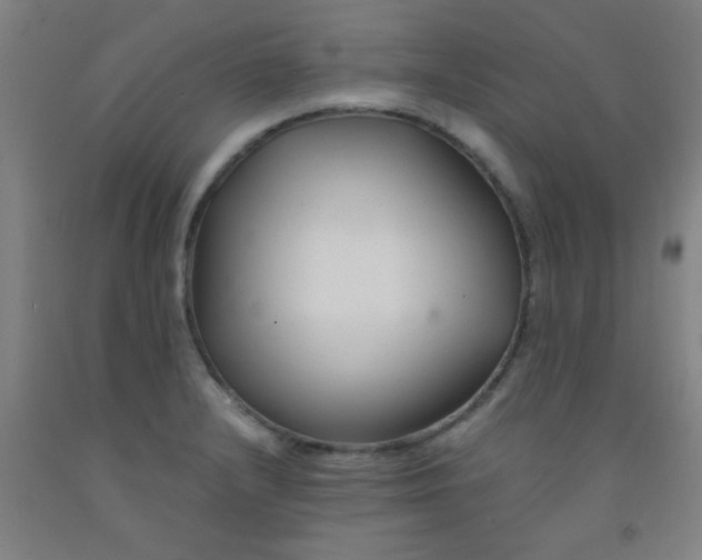 X0000092021232200709271542