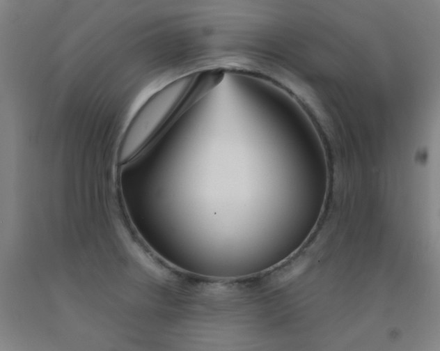 X0000092021234200709271542