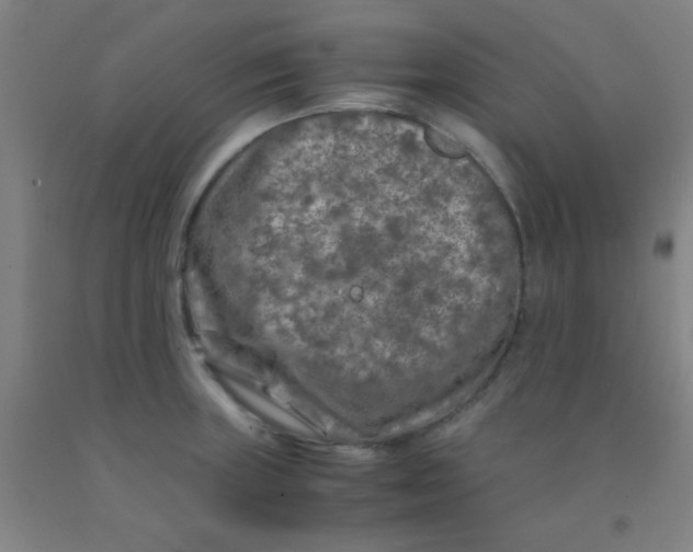 X0000092021235200709271542