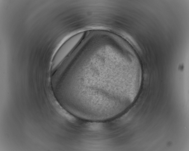 X0000092021236200709271542