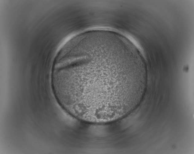 X0000092021237200709271542