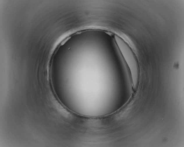 X0000092021238200709271543