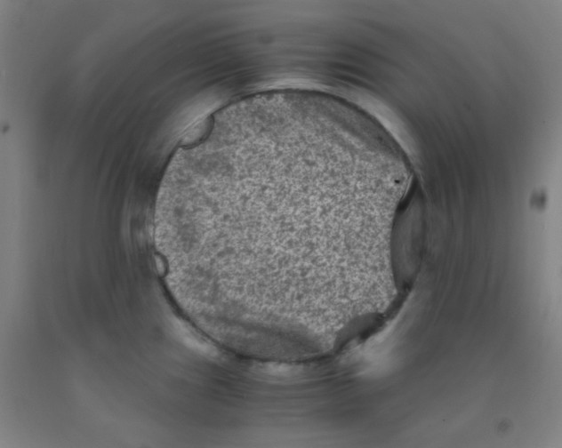 X0000092021241200709271543