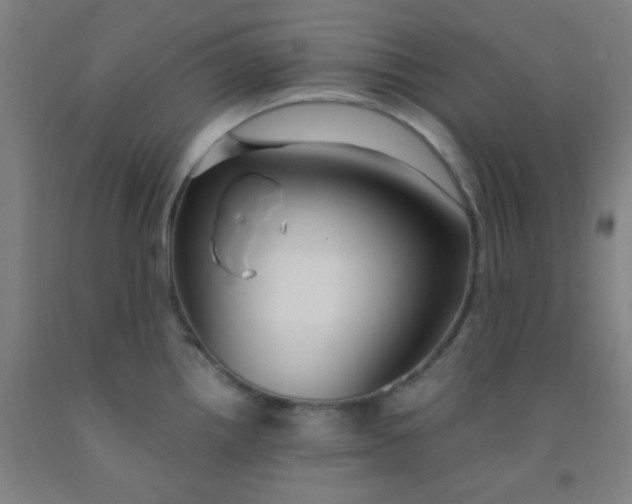 X0000092021242200709271543