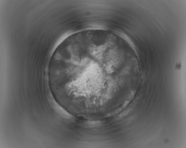 X0000092021243200709271543