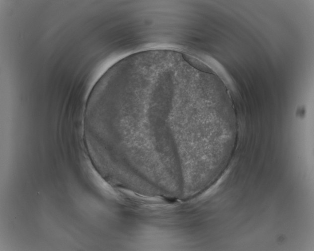 X0000092021244200709271543