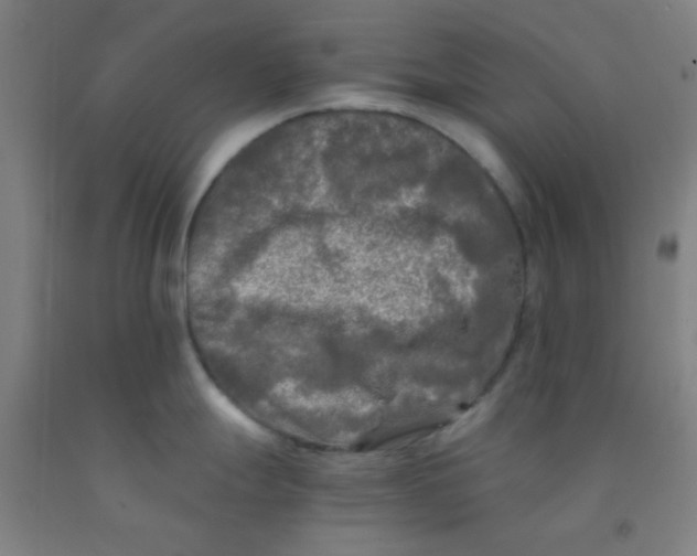 X0000092021247200709271543