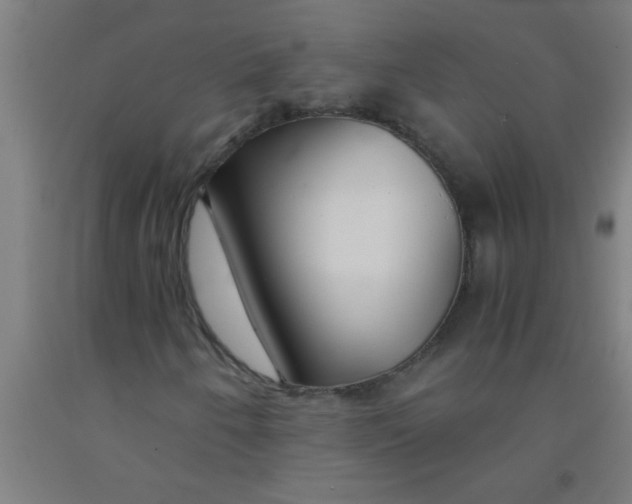 X0000092021250200709271542