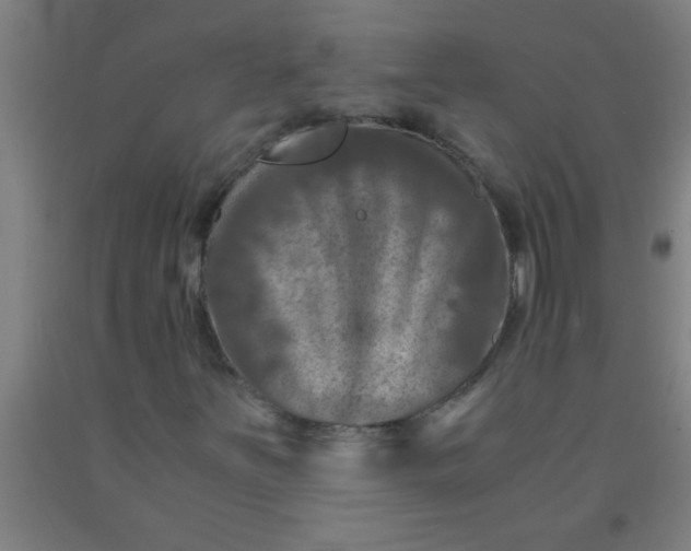 X0000092021251200709271542