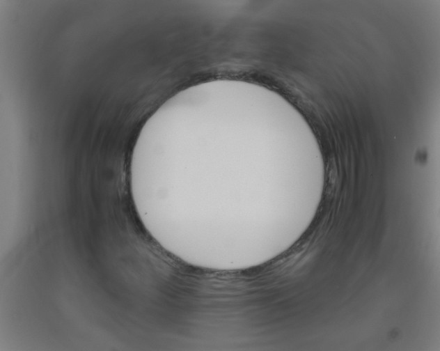 X0000092021252200709271542