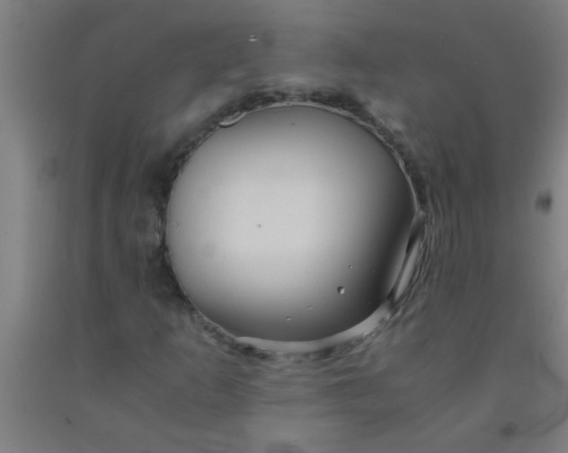 X0000092021253200709271542