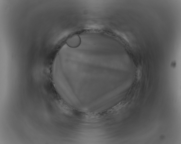 X0000092021254200709271542